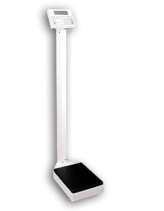 Buy 349 Dual Reading Eye-Level Physician Scale with Handpost